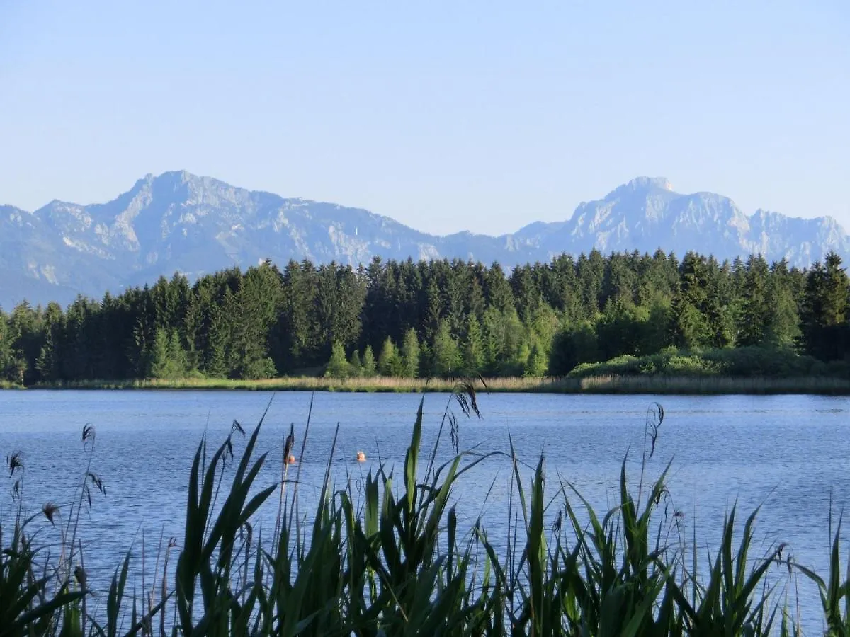 Beautiful Holiday Flat With Balcony In Bavaria Bad Bayersoien 0*,
