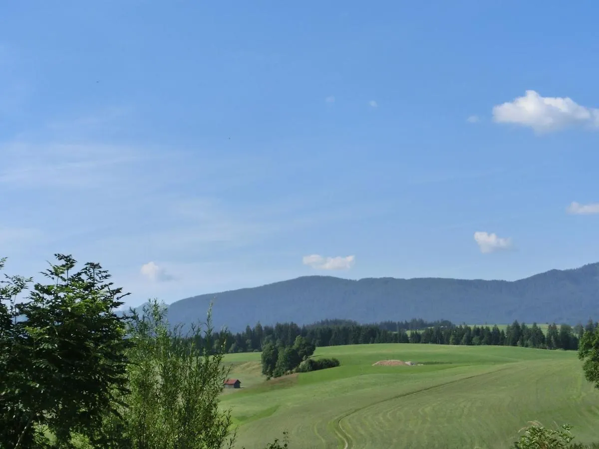 Beautiful Holiday Flat With Balcony In Bavaria Bad Bayersoien