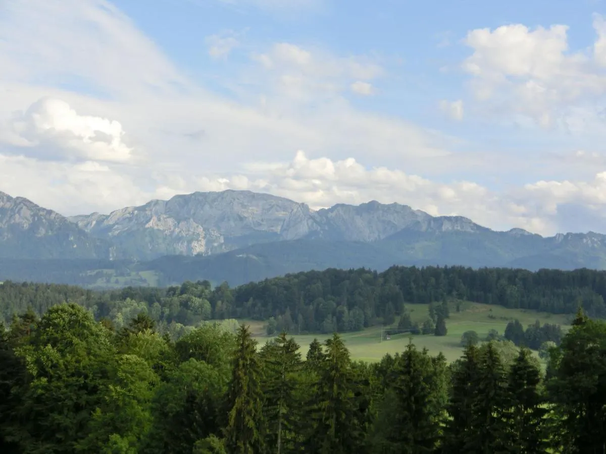 Beautiful Holiday Flat With Balcony In Bavaria Bad Bayersoien